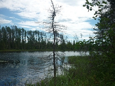 Scenery while day hiking Hawk Ridge Trail at Halfway Lake Provincial Park.