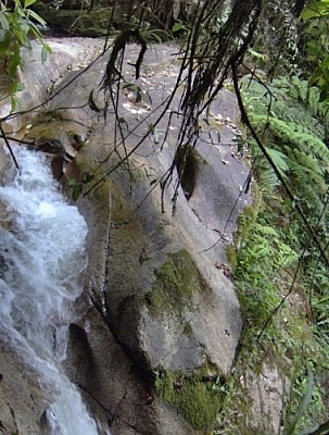 This rock, which resembles a jaguar's face, was seen by a vivid imagination while hiking near Loja at Parque Nacional Podocarpus.