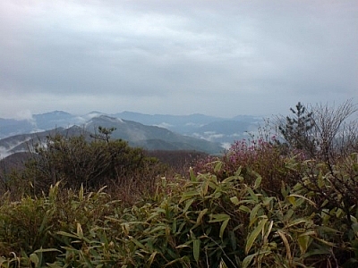 An amazing view through the fog while trekking Jirisan