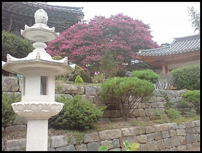 Our Jirisan wetland eco-tour ended at Daewon Temple, where this landscaped scene was photographed.