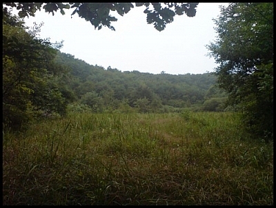 Wangdeungjae is a very fragile marsh which we visited during our Jirisan wetland eco-tour.