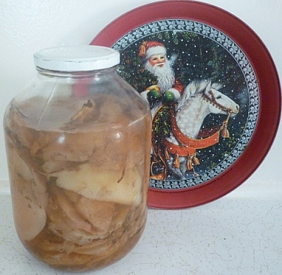 Jar of spare kombucha SCOBYs