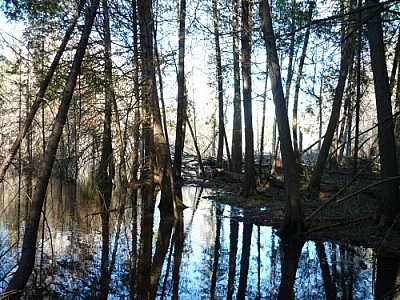 Sunlit scenery from the La Cloche Silhouette Trail