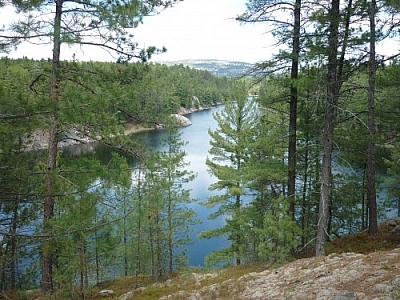 View of the westernmost bay of Threenarrows Lake along Killarney's La Cloche Silhouette loop trail.