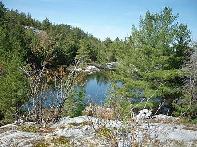 Northern bush land seen while trekking Killarney's La Cloche Silhouette loop trail