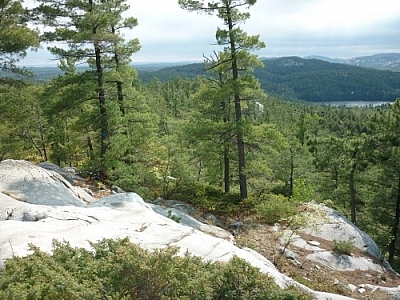 Breathtaking windswept scenery of Killarney's La Cloche Silhouette loop trail.