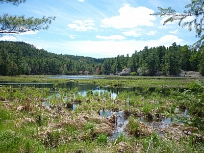 Scenery while hiking northward bound in a clockwise direction on Killarney's La Cloche Silhouette loop trail.