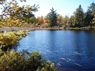 Fall colours seen at Lac Barbotte while walking in French River.