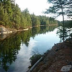 A long row of green pines along the shore of Lake of the Woods is reflected clearly in the water.