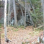 The natural path of the Lake of the Woods Trail, here leaf-covered.