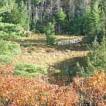 Distant view of a short wooden bridge crossing a meadow