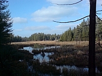 Travel and trekking in Mashkinonje Provincial Park reveals this wetland scenery while hiking near Lapin Beach.