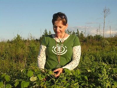 Lee-Ann Chevrette picking wild ingredients for her Boreal Forest Teas.