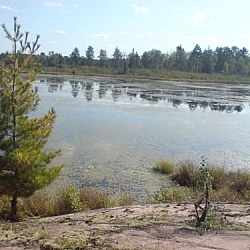 Wetland scenery from Martin Pond seen while walking for wildlife in Mashkinonje Provincial Park.