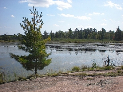 Landscape scene of Martin Pond, Mashkinonje Park, by Matt Vrijburg.