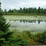 A typical view of Martin Pond seen while visiting Mashkinonje Provincial Park.