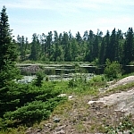 From this lookout point on a large rock outcrop, a great portion of Martin Pond is visible.