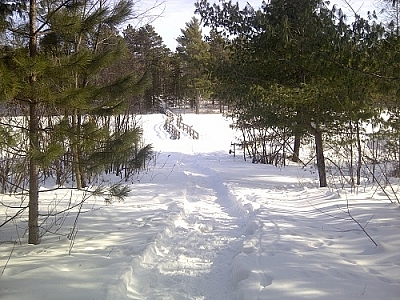 A snowshoe hike on the Loudon Peatland Trail in Mashkinonje Provincial Park first leads to this boardwalk before culminating at an observation tower.