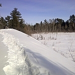 Snowshoe tracks along the edge of a ridge.