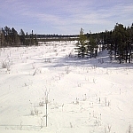 A large snow-covered wetland area — the Loudon Peatland.