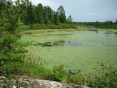 A view of Martin Pond while day-tripping on the shores of Lake Nipissing in Mashkinonje Park.