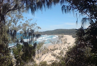 An ocean-side beach framed by leafy greenery, seen while travelling Down Under in Queensland.