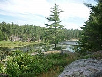 Scenic view of a wetland surrounded by forest and rock outcrops at Dokis First Nation.