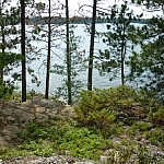 Various mosses and bushes stand before Lake Nipissing on the Pebble Beach Trail.