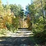 Pioneer Trail, which is wide and clear.
