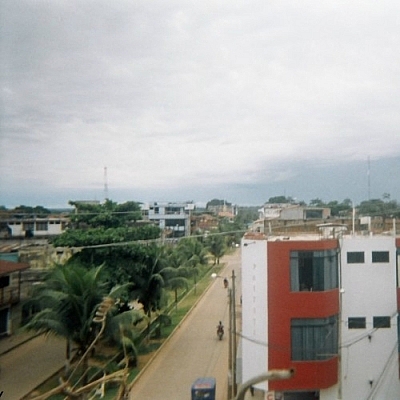 Jungle-themed city scenery.