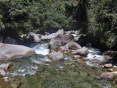 A rocky riverbed in Parque Podocarpus.