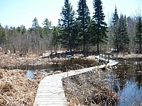A winding boardwalk traverses a wetland along Samoset Trail in Mashkinonje Provincial Park.