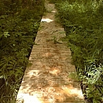 A boardwalk through forest and foliage while following Samoset Trail.