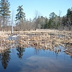 A pretty wetland, bright blue waters surrounded by yellowing grasses.