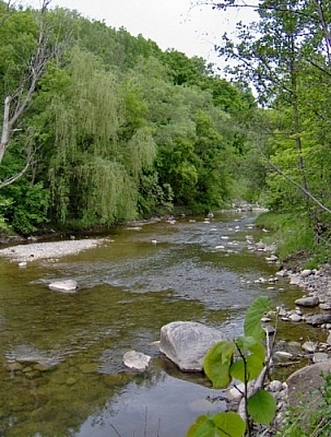 View of the Don River, rocks visible through the shallow water.