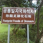 A sign reads: Footprint Fossils of Dinosaurs.