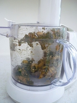 Food processor full of partially-decomposed food.