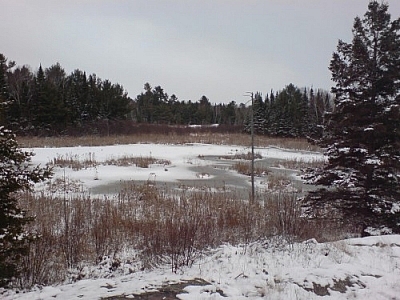 A frozen pond, Mashkinonje Provincial Park