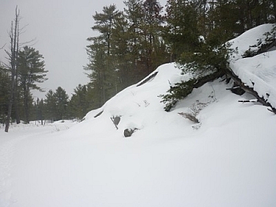 Snowy scene while snowshoe hiking in French River at Mashkinonje Provincial Park