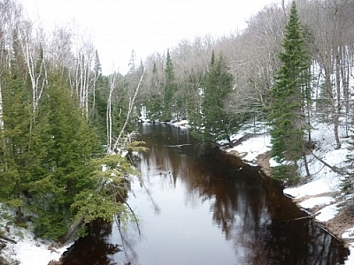 Stream seen while spring day hiking at Arrowhead Provincial Park