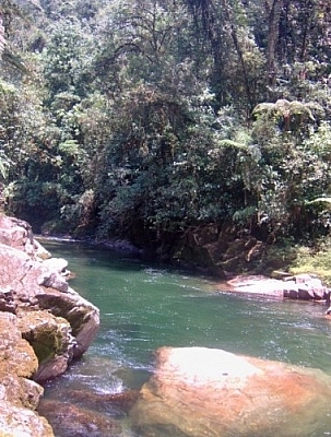 Swimming spot at Parque Nacional Podocarpus.