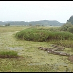 My photo journals of a Korea Wetland Keeper include this scene from Upo Marsh featuring wooden canoes.