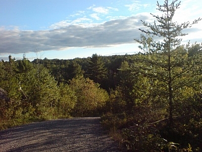 Panoramic view from a hilltop on Jurassic Road in the French River area.