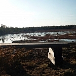 A rest area with a wooden bench facing a large wetland area not long before sunset.