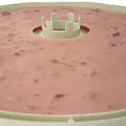 Raspberry yogurt spread out on a dehydrator sauce sheet.