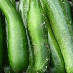 Zucchinis stacked in a row.