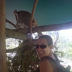 Petting a koala