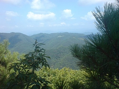 Verdant scenery from Cheongnyangsan Provincial Park, seen while hiking to make the most of a year in Korea.