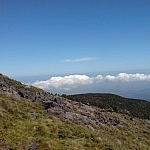 Gorgeous scenery from Hallasan National Park, one of my favourite hikes in Korea.