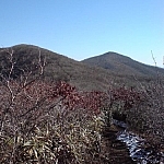 A section of the trail at Jogyesan Provincial Park.
